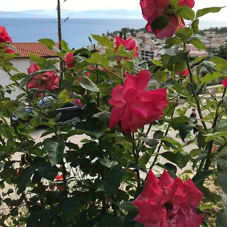 Panoramic View Aigeira